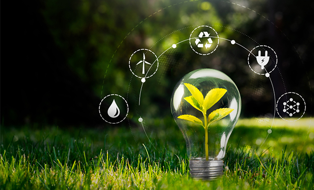 LICQual ISO 14001:2015 EMS Lead Auditor